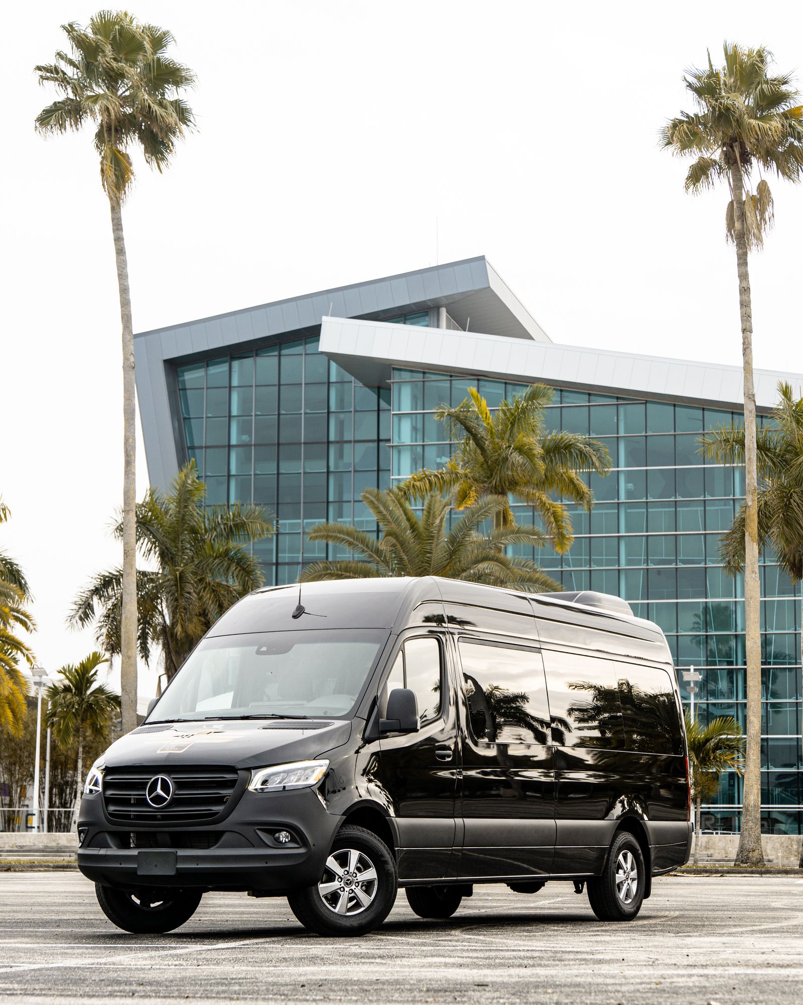 Black Mercedes-Benz Sprinter among palm trees